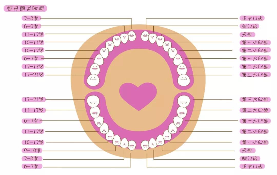 儿童恒牙萌出时间:换牙期"四不要"